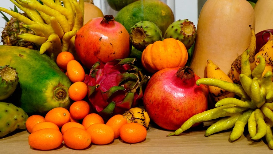 jisa-de-frutas-tropicales|comercio-de-frutas-y-hortalizas|feria-de-frutas-y-hortalizas-en-espana|sabores-de-variedades-de-uva